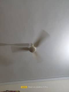 SK fan 56"