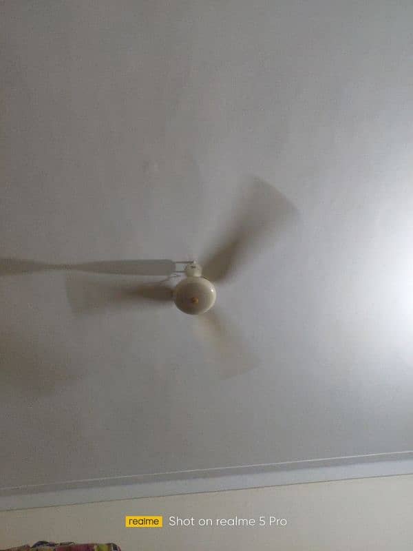 SK fan 56" 0