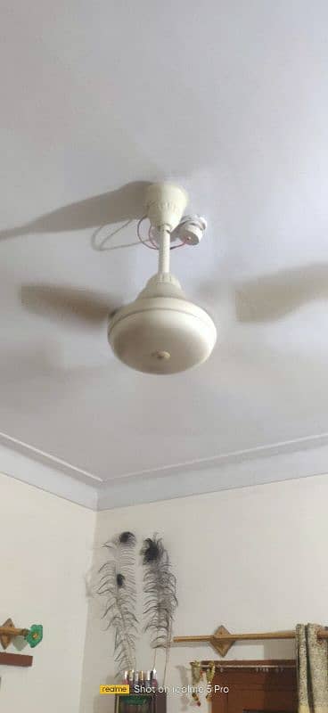 SK fan 56" 2