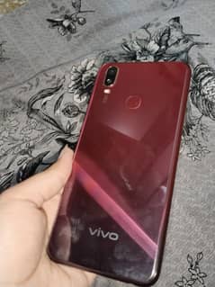 Vivo