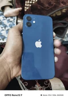 iphone 12 dual pta