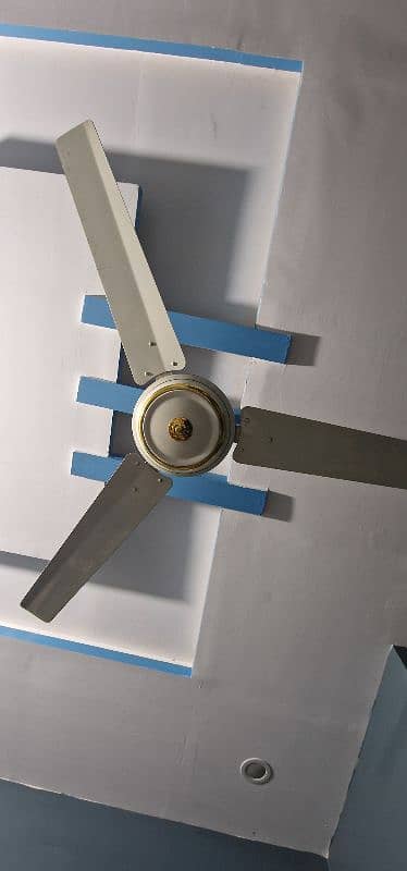 ceiling fan 1