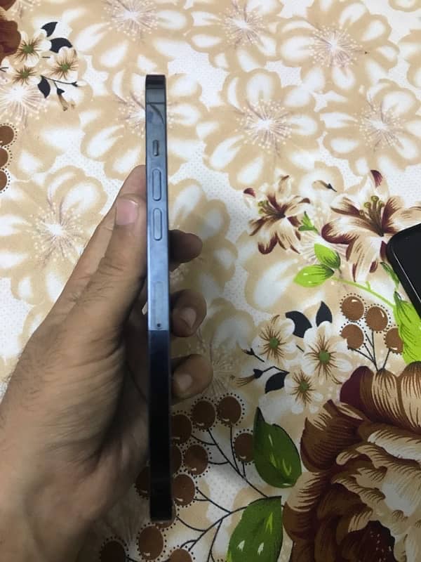 iPhone 12 Pro Max non pta 2