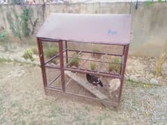 Iron Hens & Birds Cage