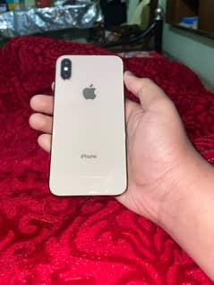 Iphone XS All ok Waterpack 10/10 hai