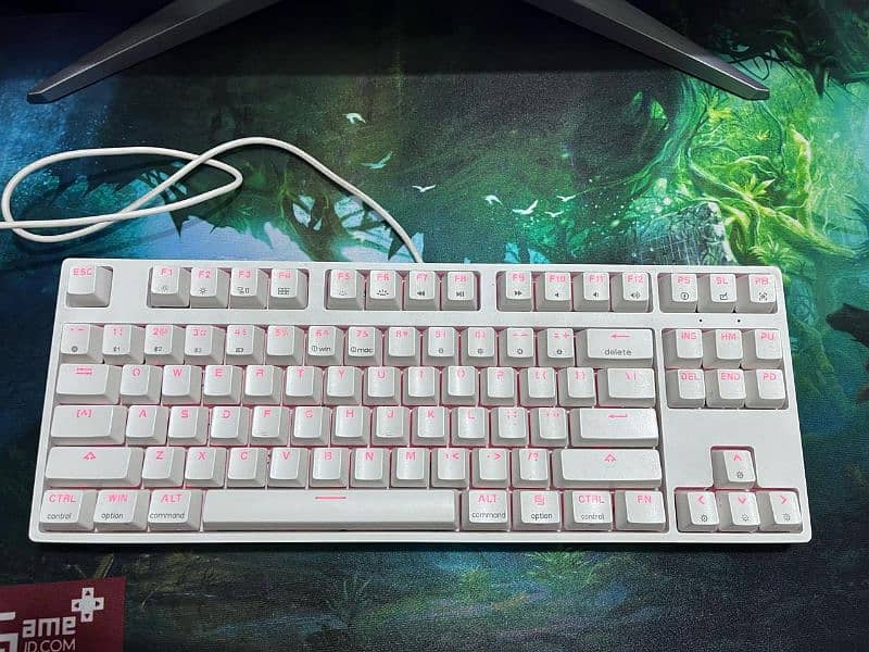 Skyloong GK87 keyboard 3