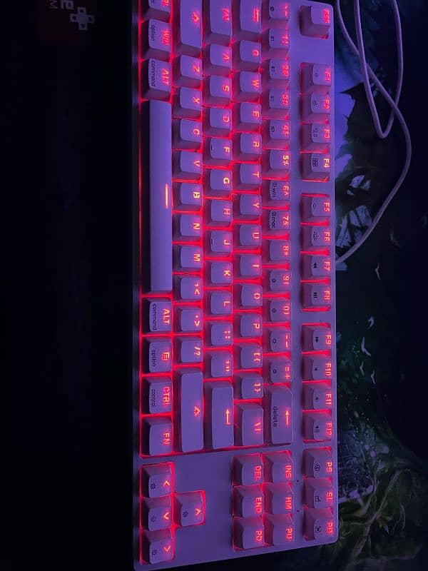Skyloong GK87 keyboard 5
