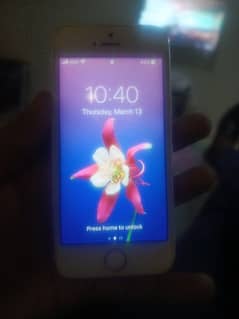 iphone 5s 16 gb pta prove all ok phone