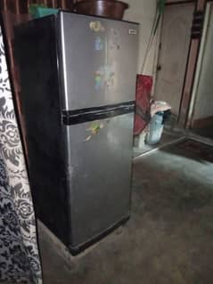 fridge orient