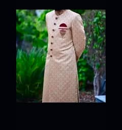 Groom Branded Sherwani for Sale