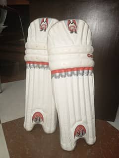 CA Gold edition Leg pads, Chest pad, Thai pad and gloves