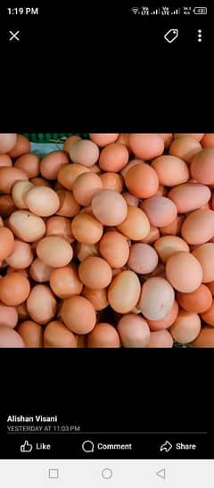 Desi Eggs