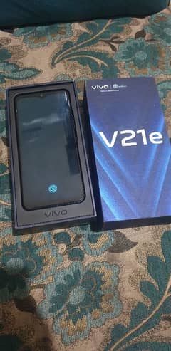 vivo