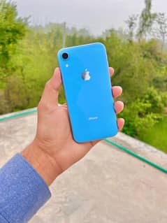 iPhone XR