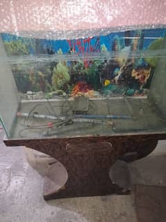 Fish Aquarium for fish with oxygen motor