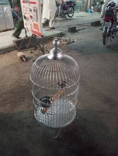 Parrot Cage