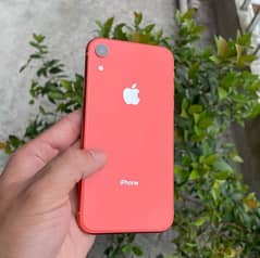 iPhone XR in Lush Condition