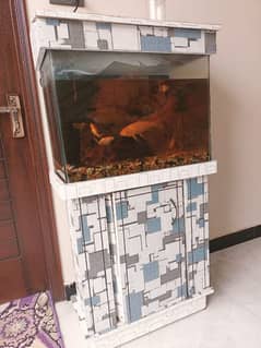 fish Aquarium