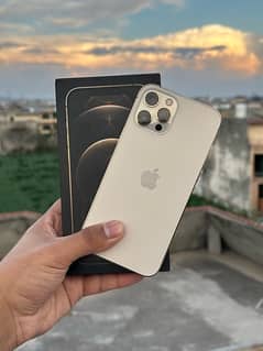 iPhone 12 Pro Max (128GB)  Gold colour PTA APPROVED