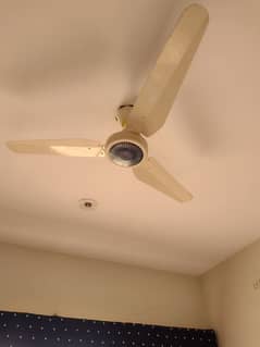 Fan For Sale Good Condition Like a New