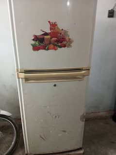 Orient fridge