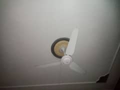 5 Ceiling fan for Sale