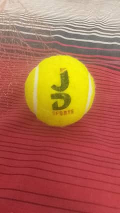 Cricket Ball (JD Sports)