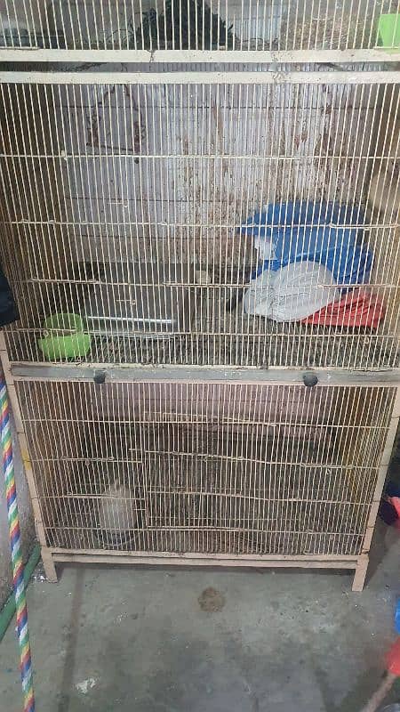 Birds cage for sale 0