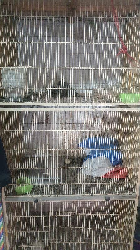 Birds cage for sale 1