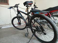 Phoenix MTB bicycle full size