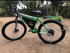 Sports Electric Cycle