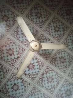 4 ceiling fans 22000