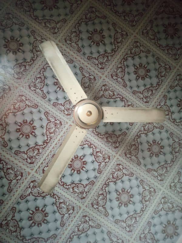 4 ceiling fans 22000 0