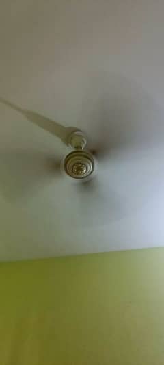 5 Ceiling Fans for Sale – Excellent Condition, Best Price!