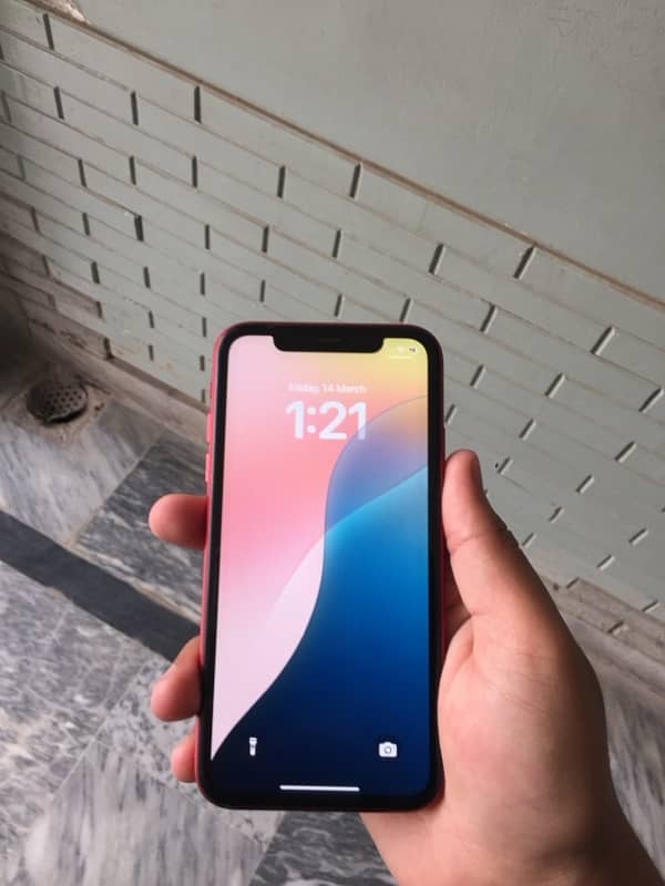 iPhone 11 water pak 3