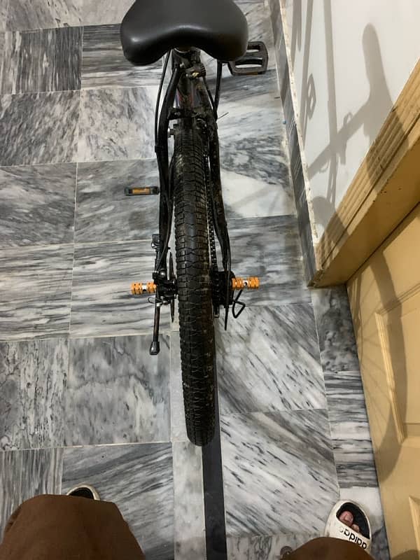 phonix cycle 3