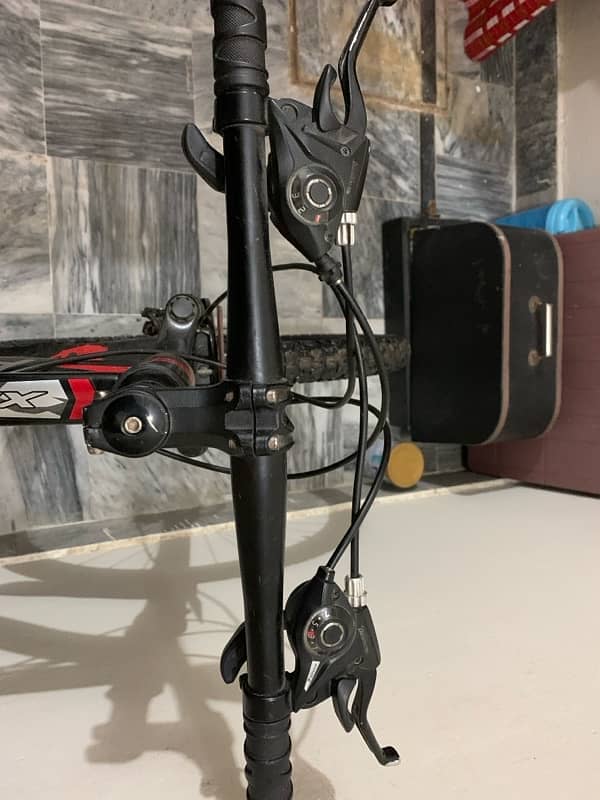 phonix cycle 4