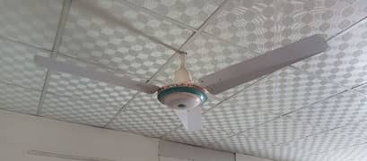 False Ceiling Gypsum plus Aluminum Support