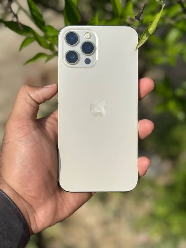 12 pro max 256 gb PTA approved 1