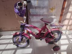 Used Cycle – Needs Some Repairs