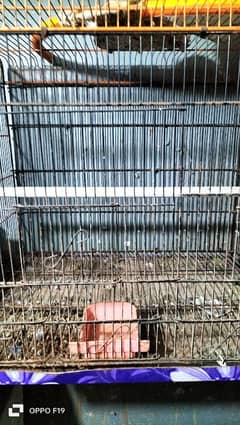 cage for sell