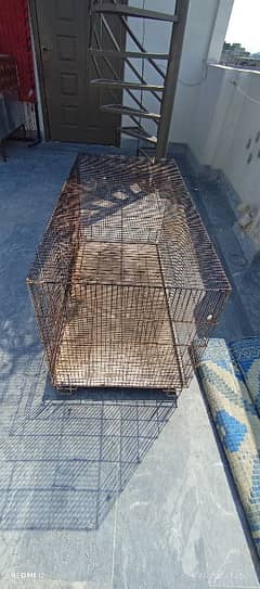 birds cage 4 by 2 by 2