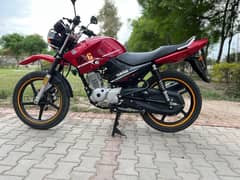 Yamaha ybr g 2022