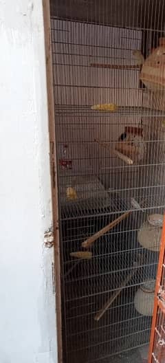 bird cage