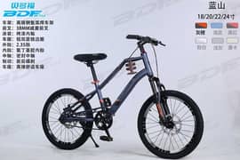 BDF 20 MOUNTAIN BIKE