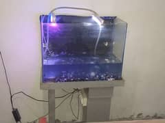 aquarium