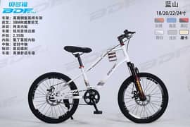 CYCLISTAN. PK 20” MOUNTAIN BIKE