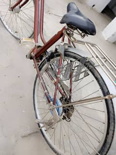 Japanese Cycle