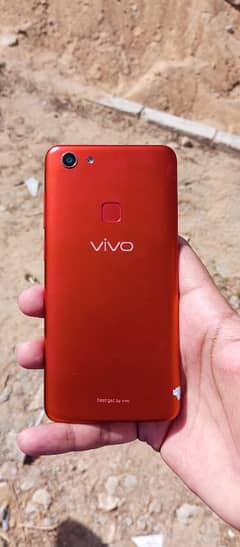 Vivo y75  6/128