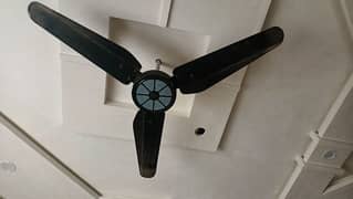 SK Ceiling Fan